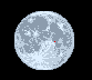 Moon age: 14 days,3 hours,43 minutes,100%